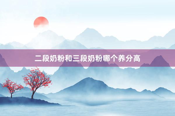 二段奶粉和三段奶粉哪个养分高